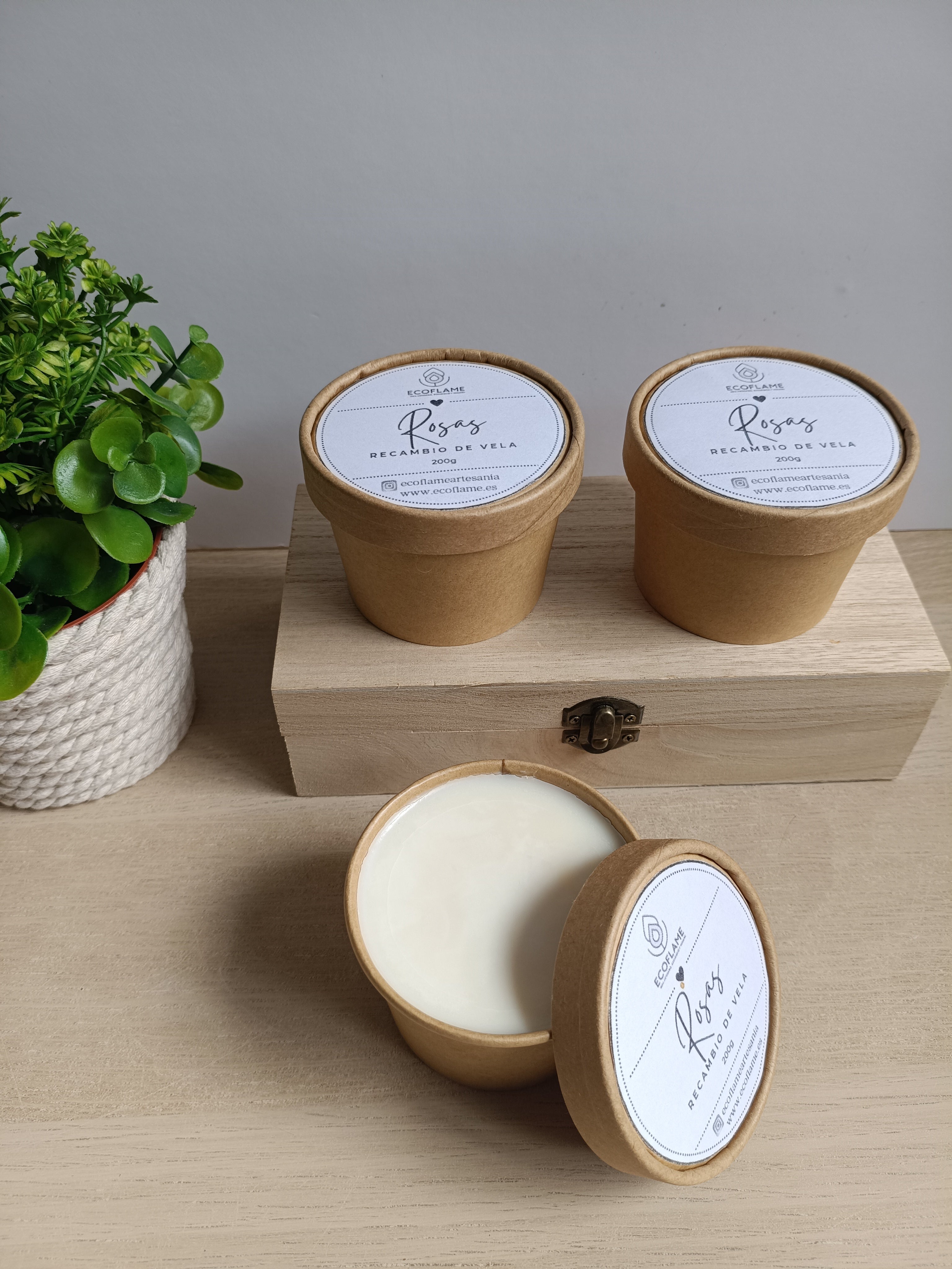 Recambio de vela de Rosa